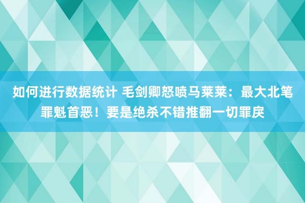 如何进行数据统计 毛剑卿怒喷马莱莱：最大北笔罪魁首恶！要是绝杀不错推翻一切罪戾