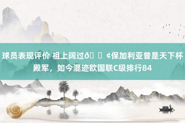 球员表现评价 祖上阔过😢保加利亚曾是天下杯殿军，如今混迹欧国联C级排行84