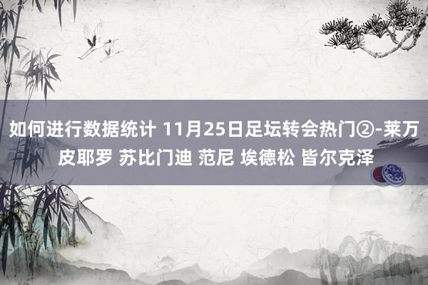 如何进行数据统计 11月25日足坛转会热门②-莱万 皮耶罗 苏比门迪 范尼 埃德松 皆尔克泽