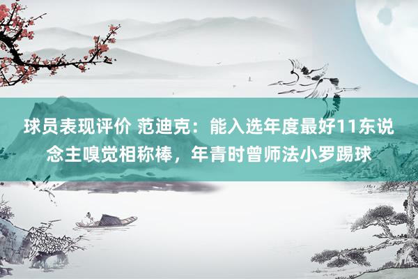 球员表现评价 范迪克：能入选年度最好11东说念主嗅觉相称棒，年青时曾师法小罗踢球