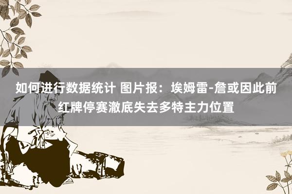 如何进行数据统计 图片报：埃姆雷-詹或因此前红牌停赛澈底失去多特主力位置