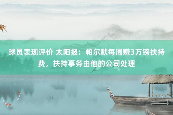 球员表现评价 太阳报：帕尔默每周赚3万镑扶持费，扶持事务由他的公司处理