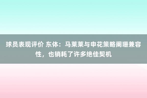 球员表现评价 东体：马莱莱与申花策略阑珊兼容性，也销耗了许多绝佳契机