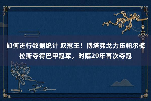 如何进行数据统计 双冠王！博塔弗戈力压帕尔梅拉斯夺得巴甲冠军，时隔29年再次夺冠