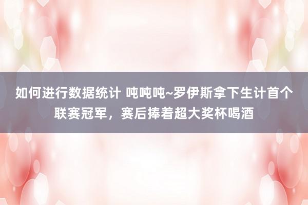 如何进行数据统计 吨吨吨~罗伊斯拿下生计首个联赛冠军，赛后捧着超大奖杯喝酒