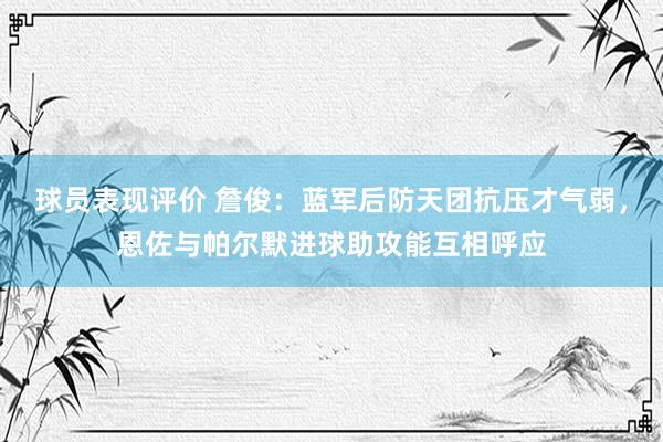 球员表现评价 詹俊：蓝军后防天团抗压才气弱，恩佐与帕尔默进球助攻能互相呼应