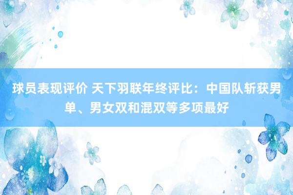 球员表现评价 天下羽联年终评比：中国队斩获男单、男女双和混双等多项最好